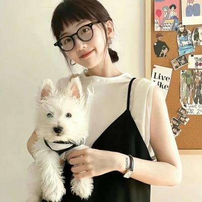 探险活宝第八季